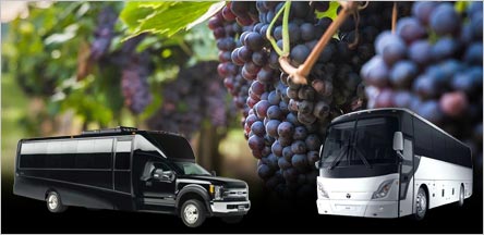 California Wine Country Shuttle Bus Rentals