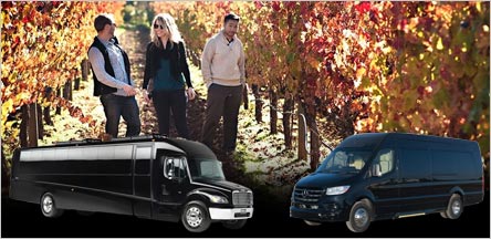 San Francisco Wine Tours Bus Rental