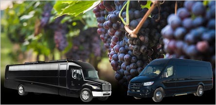 California Wine Country Shuttle Bus Rentals