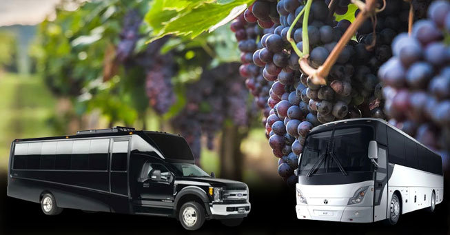 California Wine Country Shuttle Bus Rentals