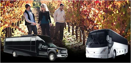 San Francisco Wine Tours Bus Rental